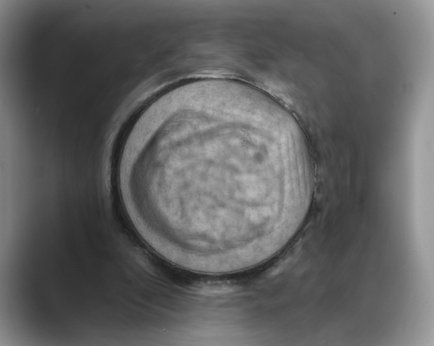 X0000088860296200707061056