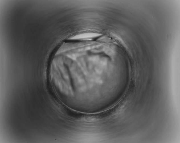 X0000088860299200707061056