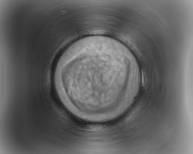 X0000088860300200707061056