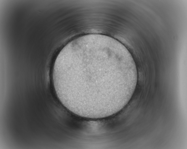 X0000088860302200707061056