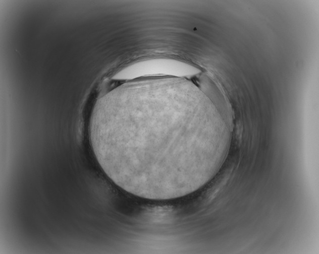 X0000088860304200707061056