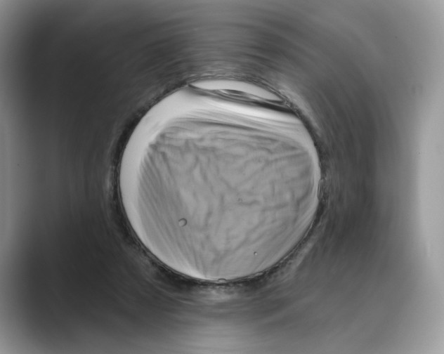 X0000088860305200707061056