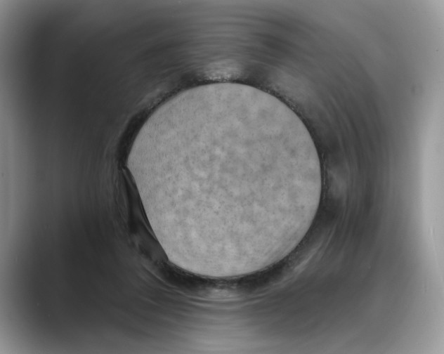 X0000088860308200707061056