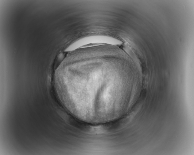 X0000088860309200707061056