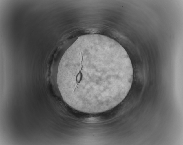 X0000088860312200707061056