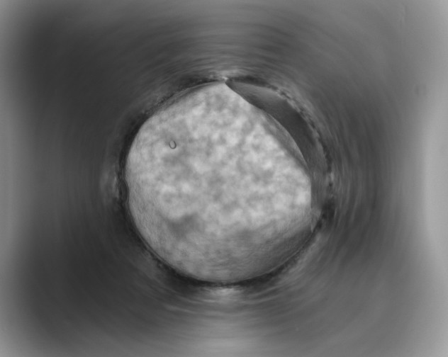 X0000088860313200707061056