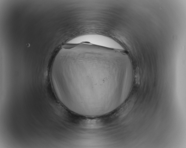 X0000088860314200707061056