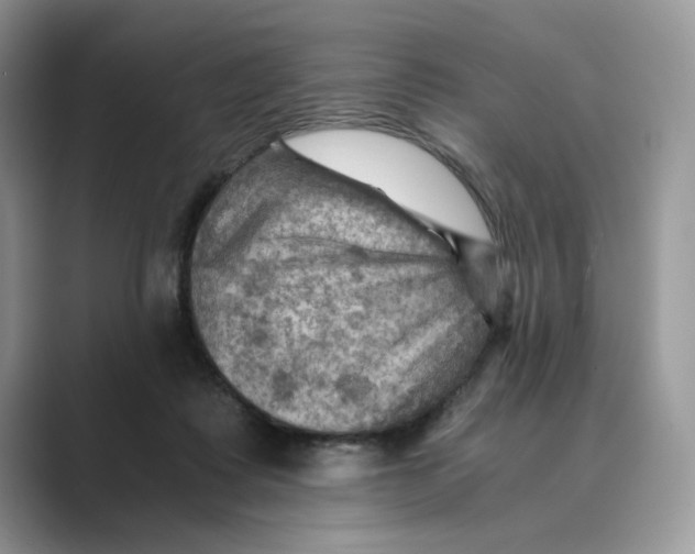 X0000088860315200707061056