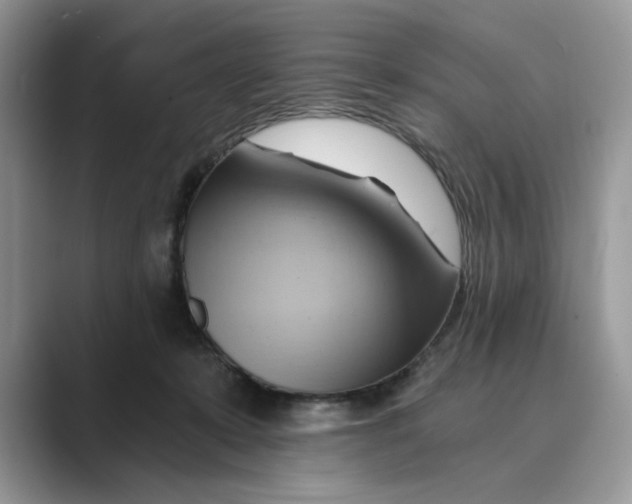 X0000088860319200707061055