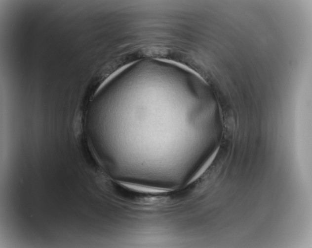 X0000088860323200707061055