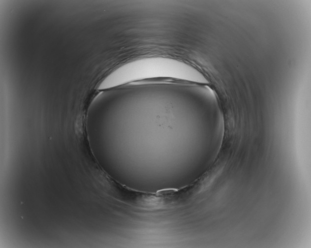 X0000088860325200707061055