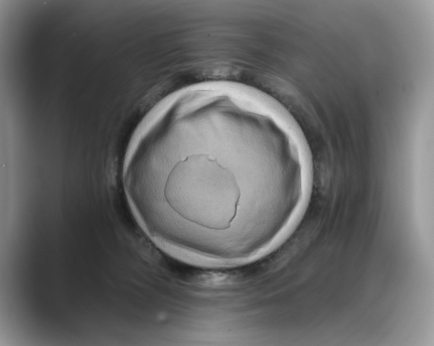 X0000088860326200707061055