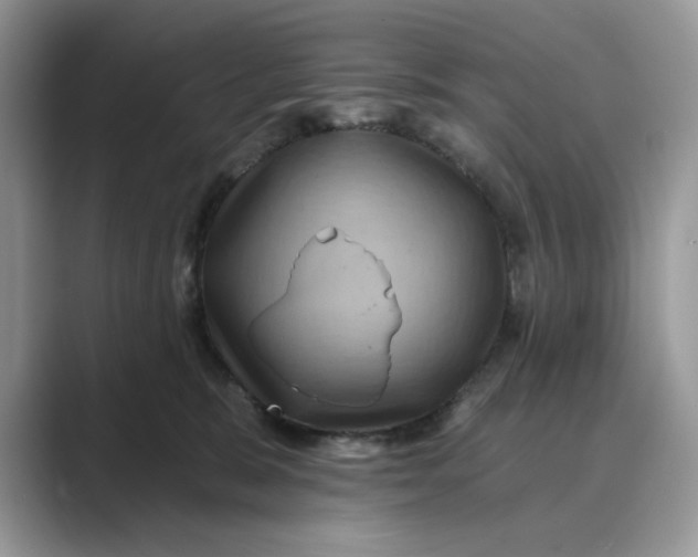 X0000088860327200707061055