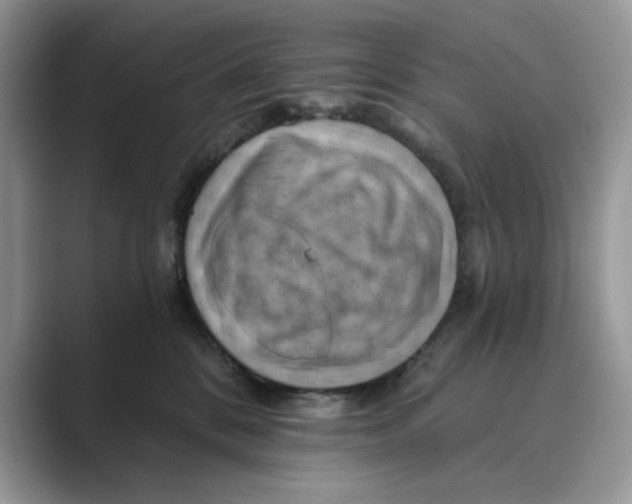 X0000088860328200707061055