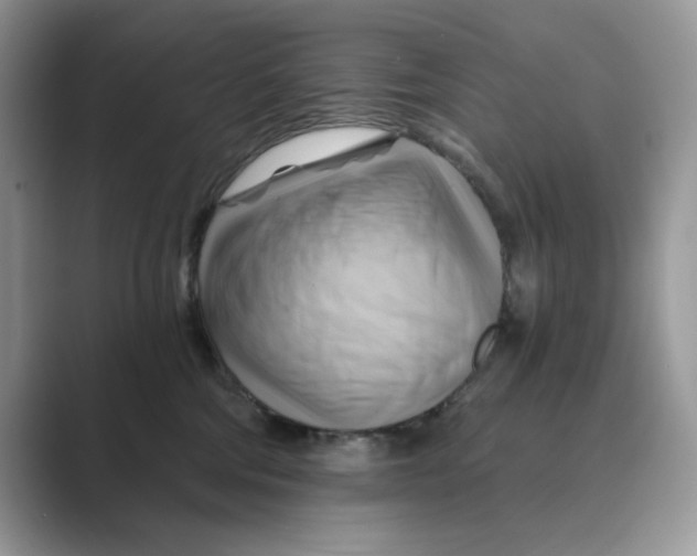 X0000088860330200707061055