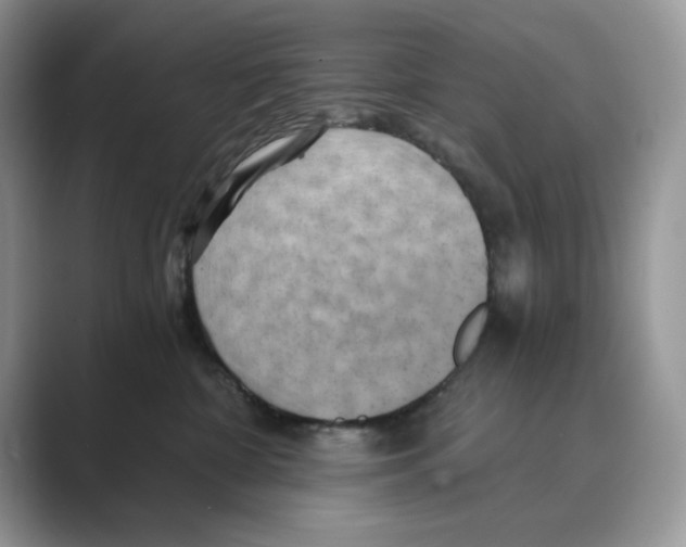 X0000088860332200707061055