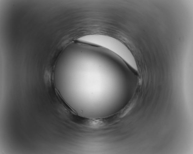 X0000088860333200707061055