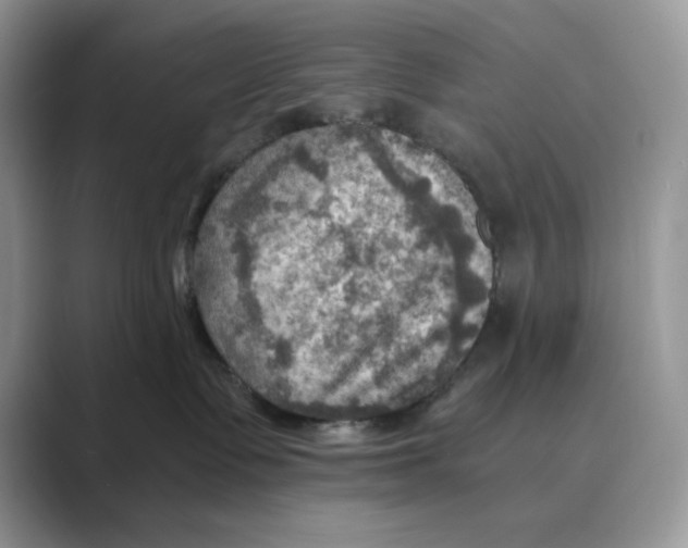 X0000088860335200707061055