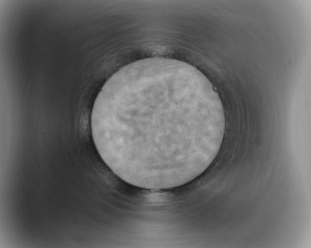 X0000088860336200707061055