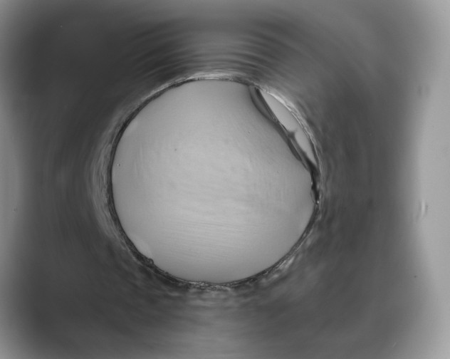 X0000088860337200707061055