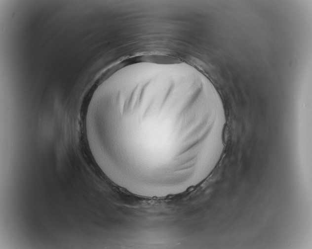 X0000088860338200707061055