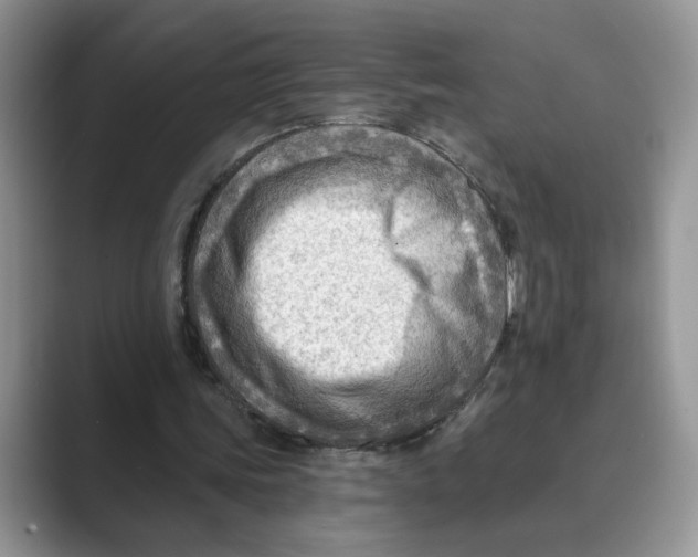 X0000088860339200707061055