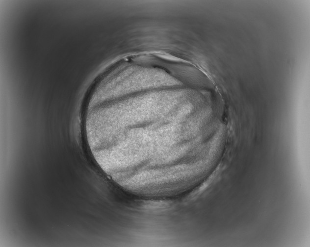 X0000088860342200707061055