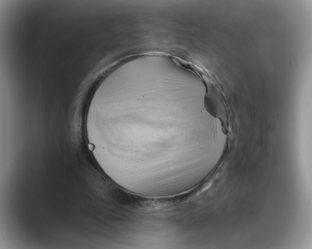 X0000088860343200707061055