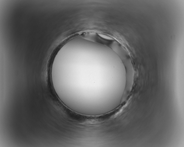 X0000088860344200707061055