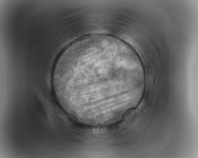 X0000088860345200707061055