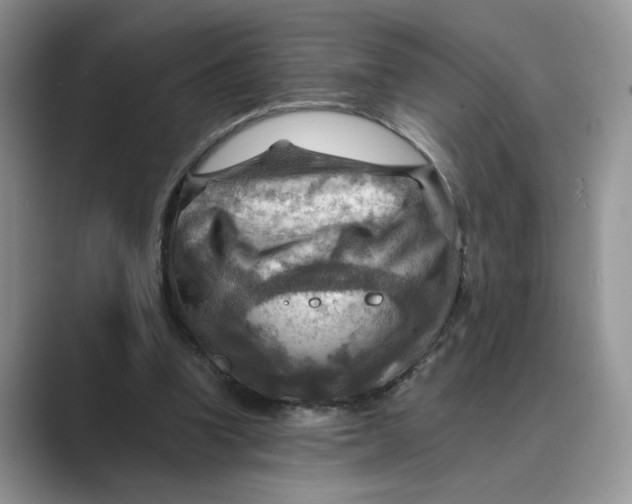 X0000088860346200707061055