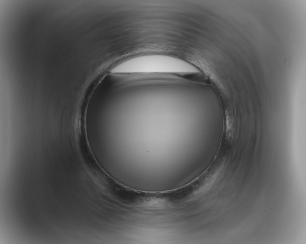 X0000088860348200707061055