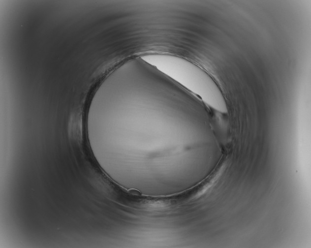 X0000088860349200707061055