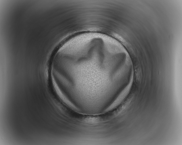 X0000088860350200707061055