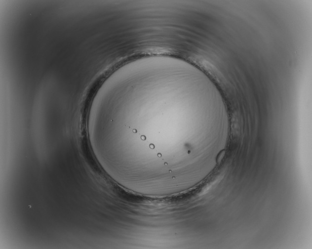 X0000088860351200707061055