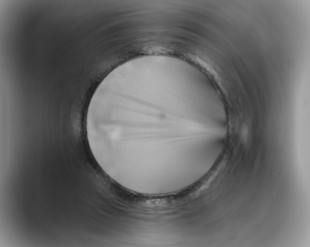 X0000088860353200707061055