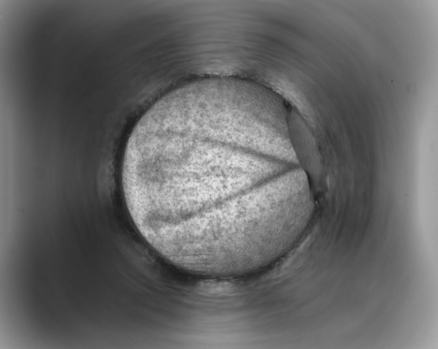 X0000088860354200707061055