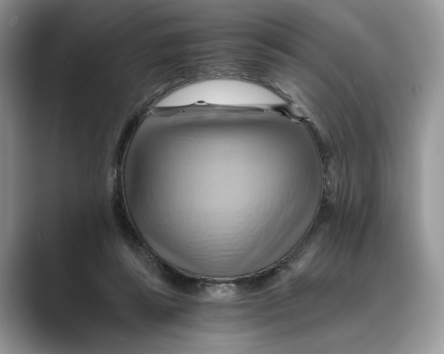 X0000088860355200707061055