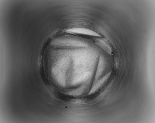 X0000088860356200707061055