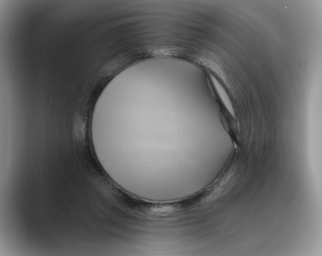 X0000088860357200707061055