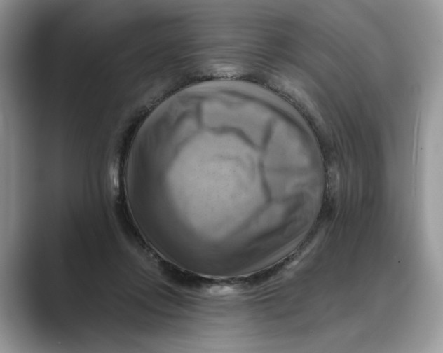 X0000088860358200707061055