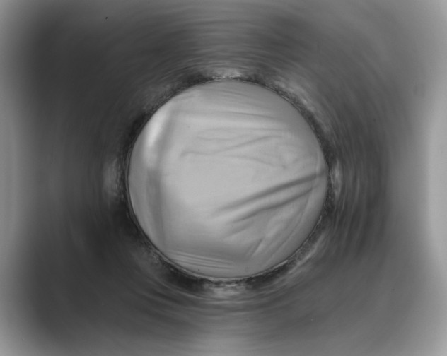 X0000088860359200707061055