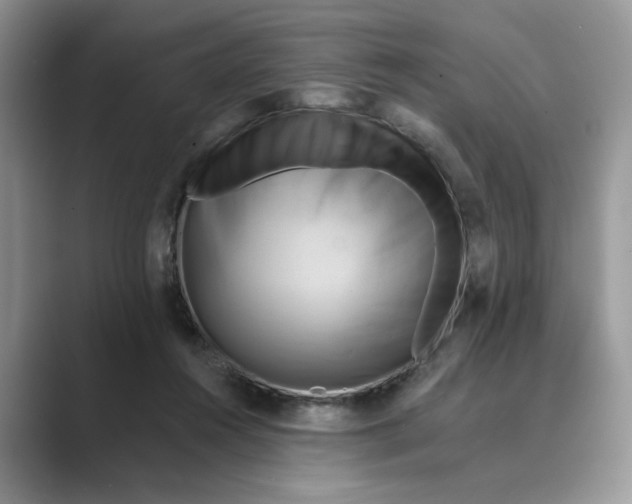 X0000088860360200707061055