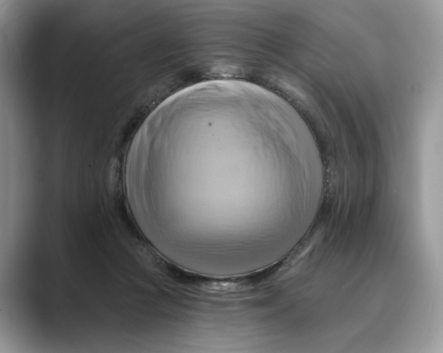 X0000088860361200707061055