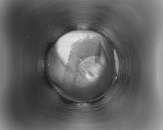 X0000088860363200707061055