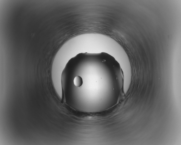 X0000088860364200707061055