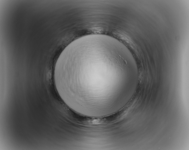 X0000088860365200707061055