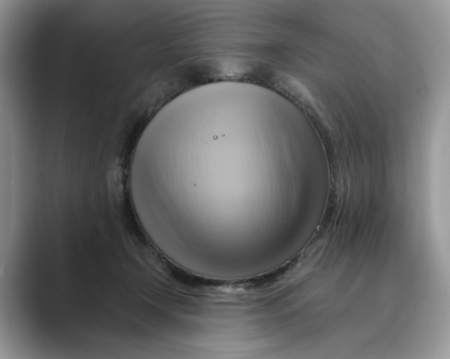 X0000088860366200707061055