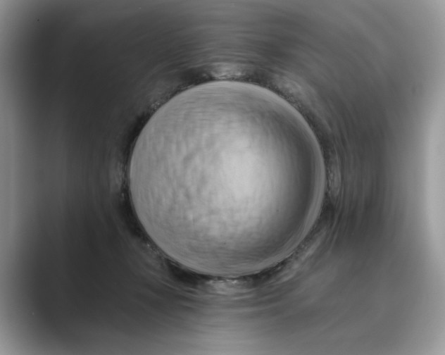 X0000088860367200707061055