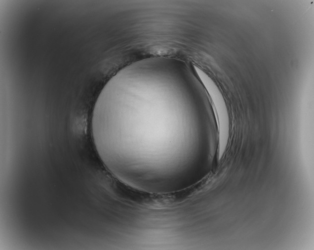 X0000088860368200707061055